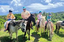 East Coast Horseback Riding, Waterfall & Soufriere Private Tour