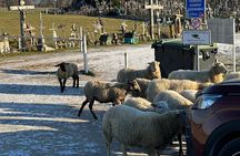 Group day trip from Riga to Hill of Crosses - 5 hour day tour!