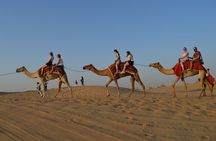 Desert Safari Dubai Experience with Dinner
