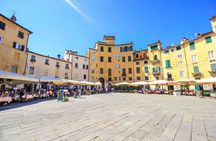 Lucca tour and Pisa Tower + WineTasting by van from Livorno Port