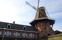 Piece of Holland Full-Day Tour in the Interior of Paraná