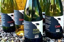 Guided tasting of Cider