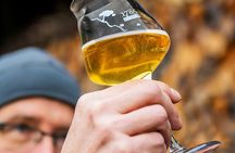 Guided tasting of Cider