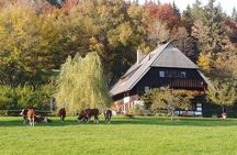 Guided tasting of Cider
