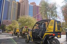 Scenic Red Rock Canyon Private Tour in a Talking Go Car