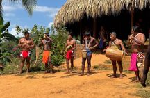Visit the Indians and discover the rainforest