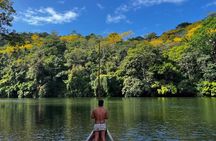 Visit the Indians and discover the rainforest
