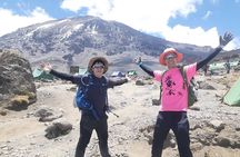 7-Day Kilimanjaro Trekking Tour via Machame Route
