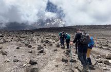 7-Day Kilimanjaro Trekking Tour via Machame Route