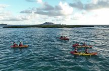 Discover Popoia Island and Kailua Bay by Kayak Guided Tour