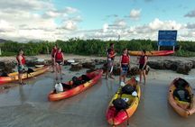 Discover Popoia Island and Kailua Bay by Kayak Guided Tour