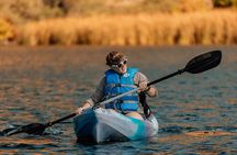 Paddle Boarding and Kayaking Tour in Canyon Lake