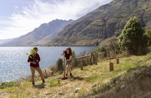 TSS Earnslaw Cruise & Walter Peak Eco Experience