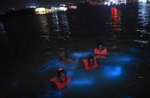 Luminous lagoon Night Tour Montego Bay 