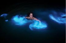 Luminous lagoon Night Tour Montego Bay 