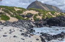 Famed North Shore Tour