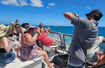 Waikiki Turtle Snorkeling Tour