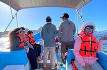 Whale Watching Tour 