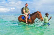 Shared Tour in Ocho Rios with Horseback Riding and Swimming