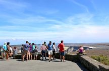Hawaii Big Island Hilo & Volcano One Day Tour