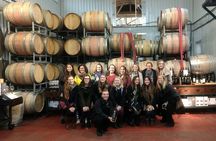 Private Half-Day Custom Wine Tasting Tour of Niagara-on-the-Lake