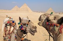 Saqqara & Giza Pyramids Tour with Camel Ride