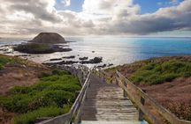 Small Group Tour of 2-7pax in Phillip Island & Churchill Island