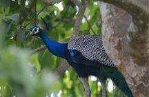 9 Days Nepal Private Tour 