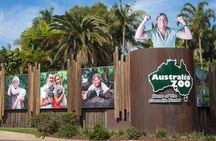 Australia Zoo, Glass House Mountains Tour Combo