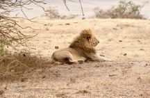 3 Days Tanzania Private Budget Safari to Serengeti & Ngorongoro