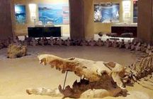 Day Tour to EL Fayoum From Cairo