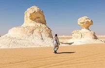 Trip to Bahariya Oasis: Black & White Desert Adventure from Cairo