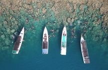 Private Snorkeling and Island Hopping Tour in Karimunjawa 