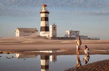 Half-Day Port Elizabeth & Kragga Kamma Reserve 
