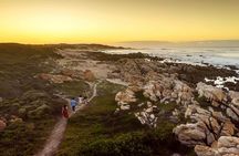 Full-Day Port Elizabeth & Kragga Kamma Reserve 