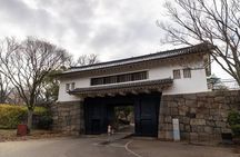 Samurai-specific Osaka Castle Guides Private tours in armor Photo