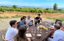Wine Tasting in Three Boutique Wineries Tour - Max 8 people