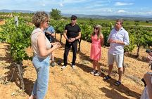 Wine Tasting in Three Boutique Wineries Tour - Max 8 people