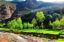 Day Trip from Marrakech Explore the Atlas Mountains and 4 Valleys