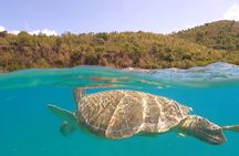 Half or Full-Day Private Boat Charter from St. John or St. Thomas