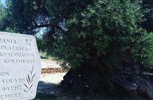 Sips of Crete: Flavors, Legends & Hidden Gems