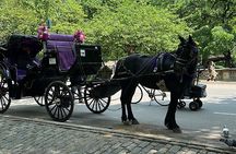 NYC Empire State Horses Carriage Ride in Central Park (45 Mins)