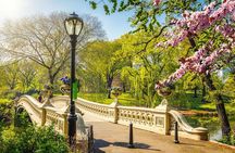 NYC: Sightseeing Day Trip with Statue of Liberty Visit