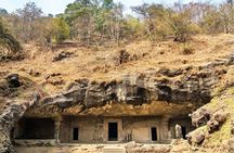 Mumbai Private Tour to Elephanta Caves with Entrance Ticket