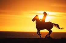  Agadir/Taghazout Horse Ride on the beach