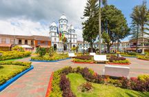 Filandia, Salento and Cocora Valley Tour