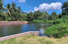 1/2 day "Treasures of Raiatea" by boat - ideal for cruise passengers
