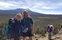9 Day Northern Circuit Route Kilimanjaro Private Expedition