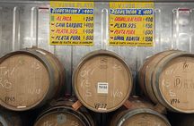 Baja Tour Guide wine tour