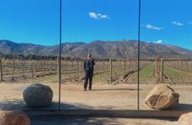 Baja Tour Guide wine tour